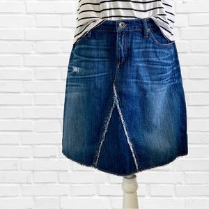 Banana Republic Above the Knee Denim Skirt
